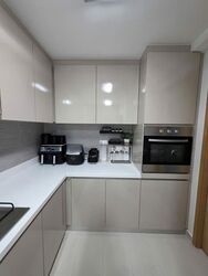 Blossom Residences (D23), Condominium #549551661